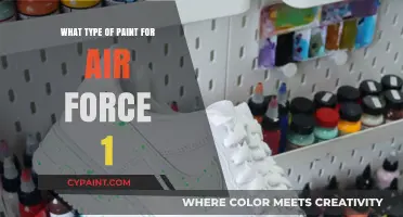Best Paint Types for Customizing Your Air Force 1 Sneakers