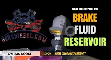 Choosing the Right Paint for Your Brake Fluid Reservoir: A Guide