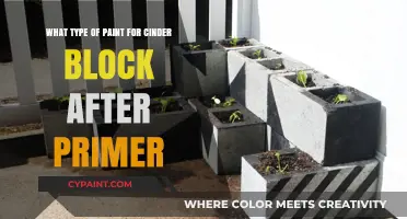 Best Paint for Cinder Blocks Post-Primer