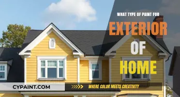 Choosing the Best Exterior Paint for Your Home's Durability and Style