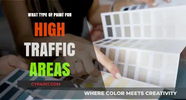 Best Paint Types for High-Traffic Areas: Durability and Style Guide