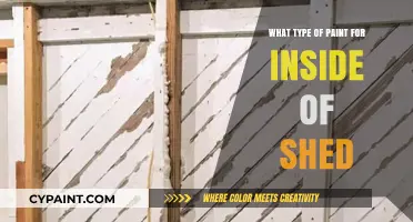 Best Interior Paint Options for Your Shed: A Comprehensive Guide