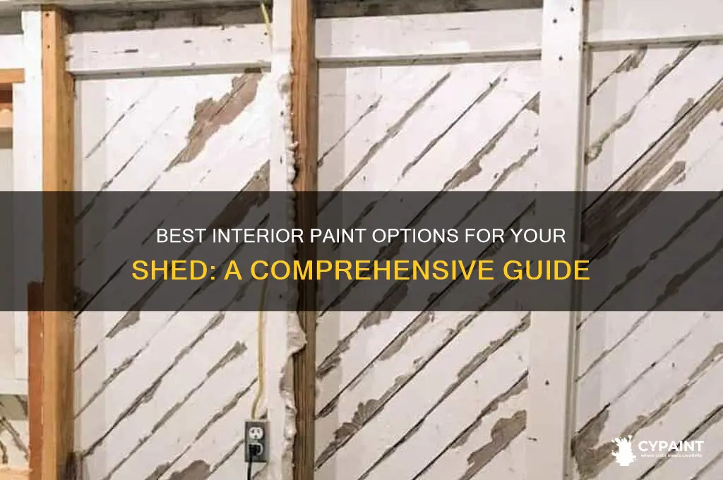 what type of paint for inside of shed