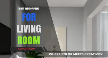 Choosing the Perfect Paint for Your Living Room: A Complete Guide