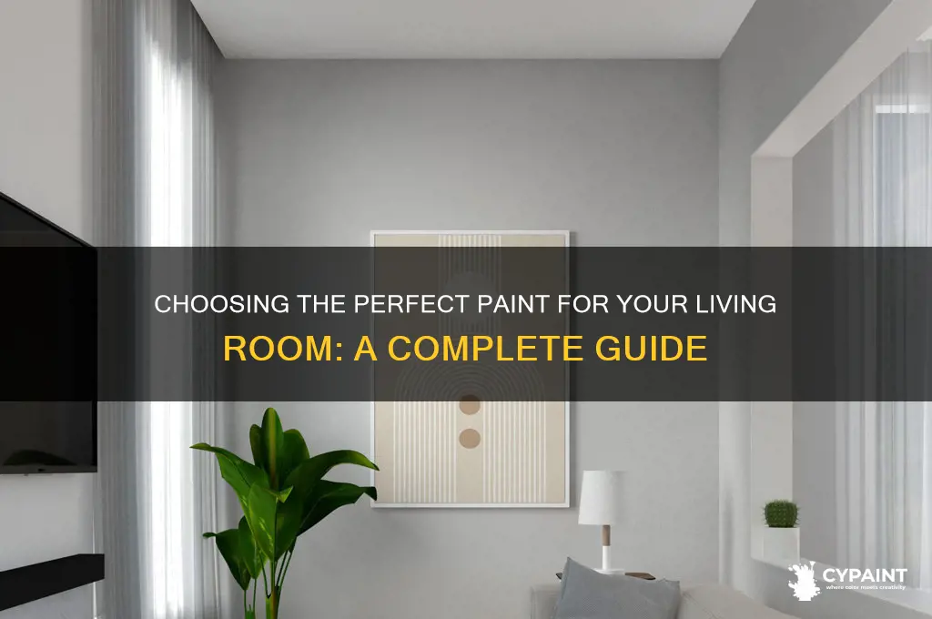 what type of paint for living room