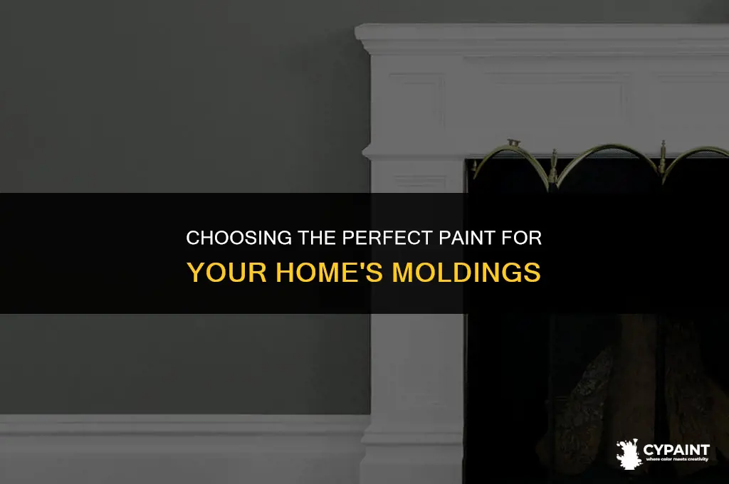 what type of paint for mo dings in a hpuse