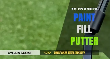 Choosing the Perfect Paint for Your Putter Fill Project