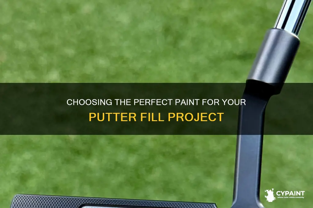 what type of paint for paint fill putter