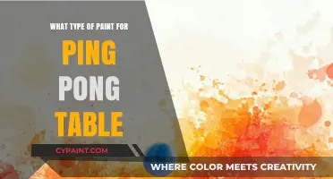 Best Paint Types for Durable and Smooth Ping Pong Tables