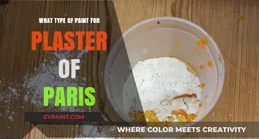 Best Paint Types for Plaster of Paris Projects: A Complete Guide