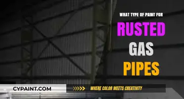 Best Paint Types to Restore and Protect Rusted Gas Pipes