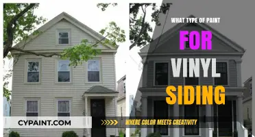 Best Paint Options for Vinyl Siding: A Comprehensive Guide