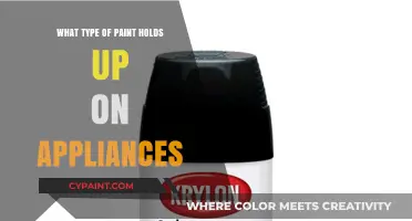 Durable Appliance Paint: Best Types for Long-Lasting Finish and Shine