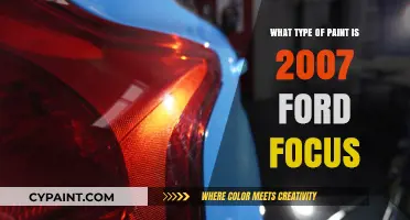2007 Ford Focus Paint Type: A Comprehensive Guide