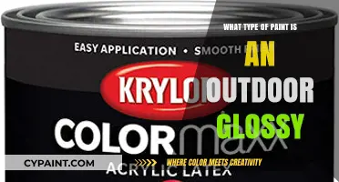Choosing the Right Outdoor Glossy Paint for Durability and Shine