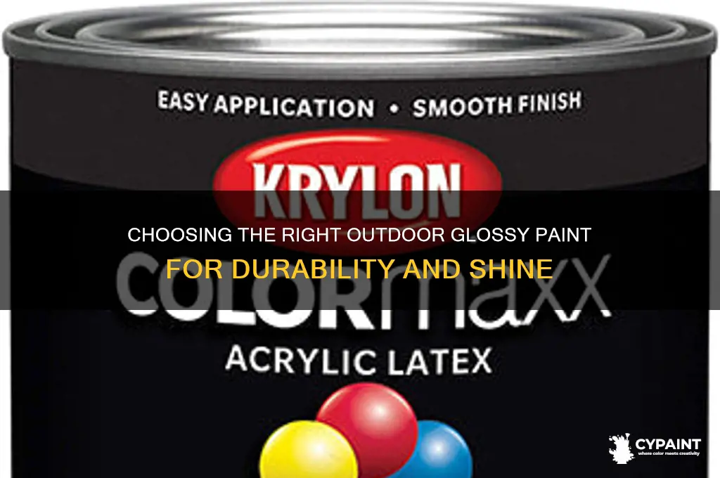 what type of paint is an outdoor glossy