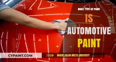 Understanding Automotive Paint: Types, Uses, and Application Techniques