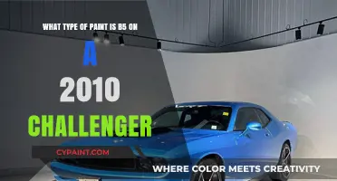 Unleashing the Mystery: B5 Paint on a 2010 Challenger Revealed