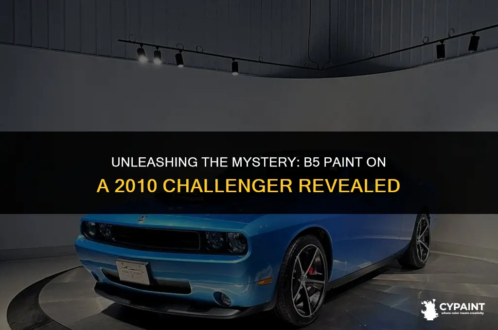 what type of paint is b5 on a 2010 challenger