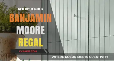 Benjamin Moore Regal Paint: Types, Features, and Best Uses Explained