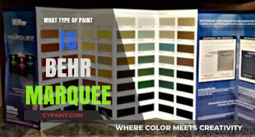 Behr Marquee Paint: Understanding Its Type and Unique Qualities