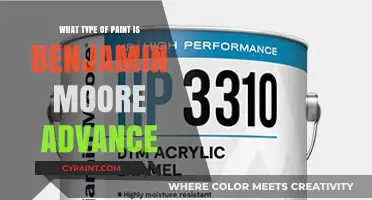 Benjamin Moore Advance Paint: Type, Features, and Best Uses Explained