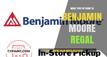 Benjamin Moore Regal Paint: Types, Features, and Best Uses Explained