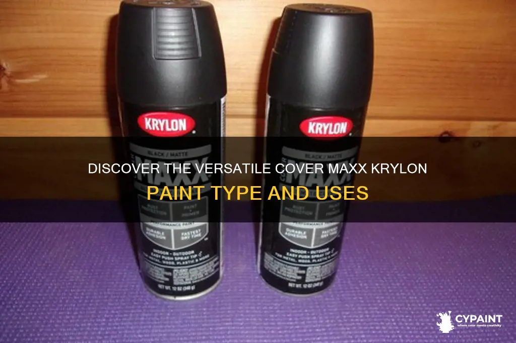 what type of paint is cover maxx krylon