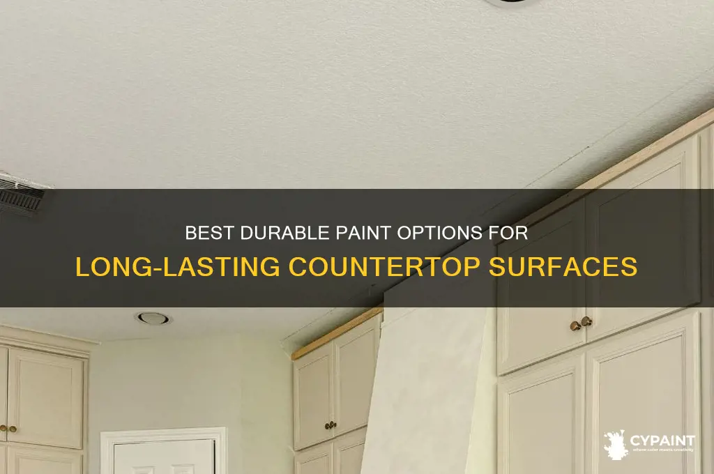what type of paint is durable for countertop