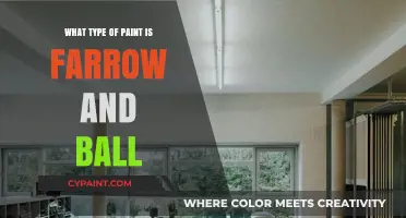 Farrow and Ball Paint: Understanding Its Unique Type and Quality