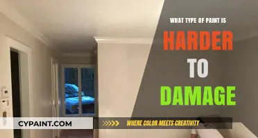 Durable Paint Options: Which Type Resists Damage the Best?