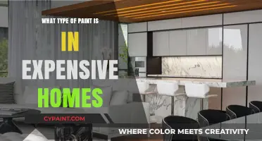 Luxury Living: The Premium Paints Defining Expensive Homes' Elegance
