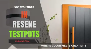 Resene Testpots Paint Types: Unveiling the Perfect Mini Paint Formula