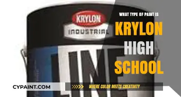 Krylon High Heat Paint: Uses, Benefits, and Application Tips
