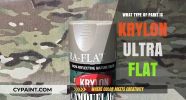 Krylon Ultra Flat Paint: Types, Uses, and Application Tips