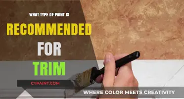 Best Paint Types for Trim: Expert Recommendations for a Flawless Finish