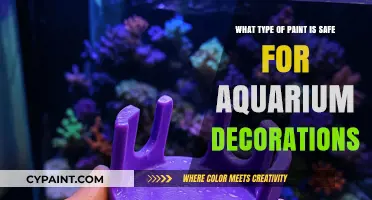 Aquarium Decor: Choosing the Right Paint