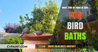 Bird Bath Paint: Safe Options for Your Feathered Friends