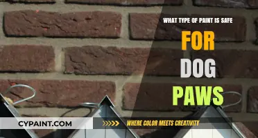 Safe Paint for Dog Paws: Non-Toxic and Pet-Friendly Options