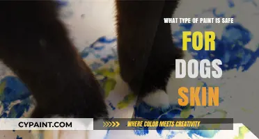 Safe Paint for Dogs: Toxic-Free Coatings for Your Pet