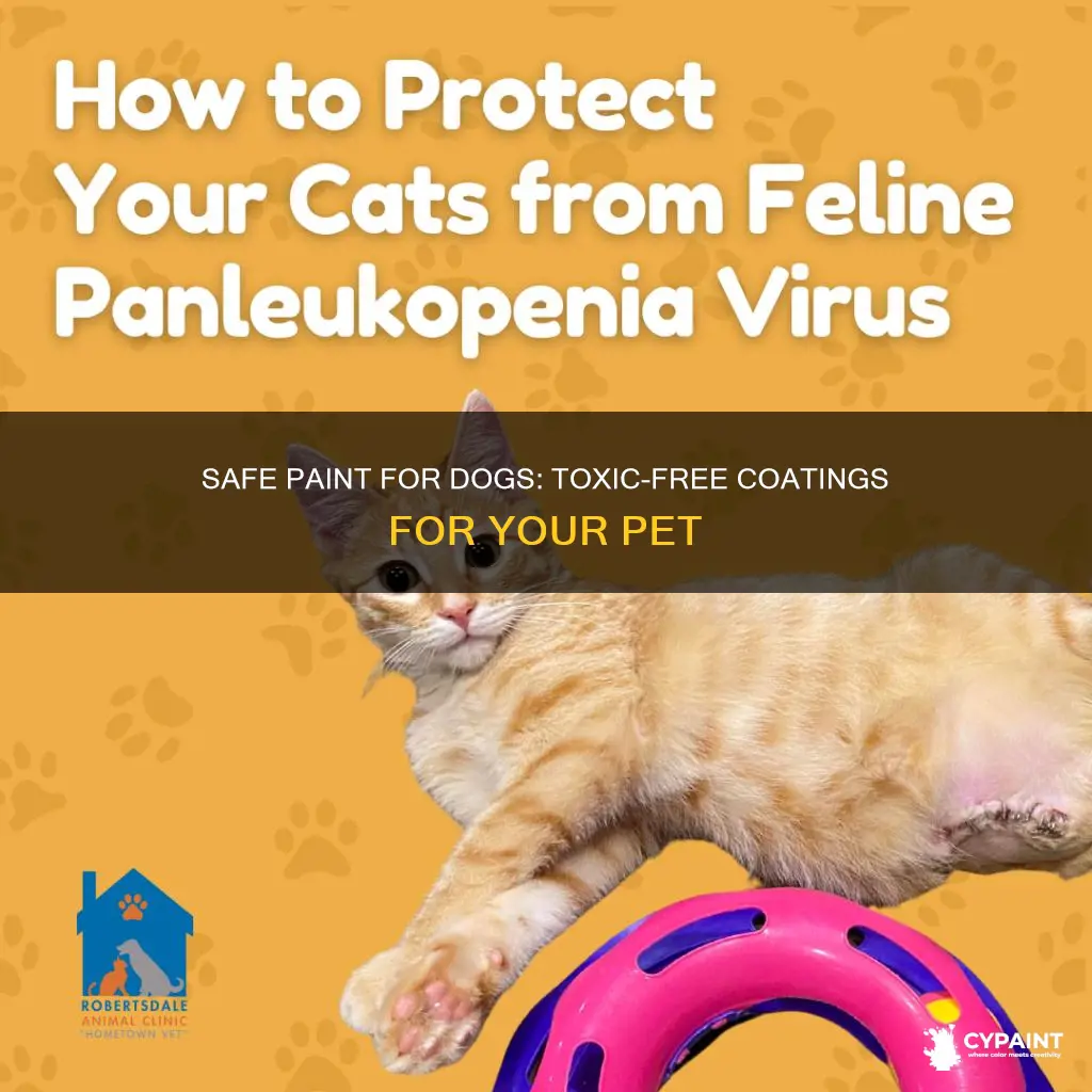 what type of paint is safe for dogs skin