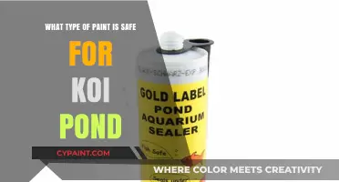 Koi Pond Paint: Choosing the Right Non-Toxic Coat