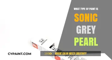 Sonic Grey Pearl Paint: Unveiling the Type and Finish Secrets