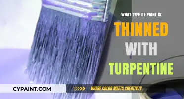 Turpentine-Thinned Paints: Types, Uses, and Application Techniques Explained