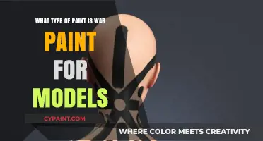 Choosing the Right War Paint for Models