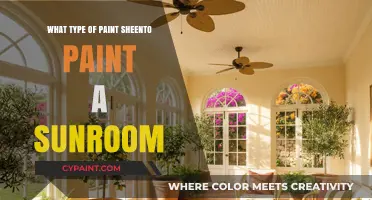 Best Sheen Paint Options for Bright and Durable Sunroom Walls