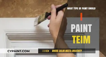 Choosing the Right Paint for Your Teim: A Comprehensive Guide