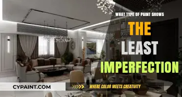 Best Paint Types to Conceal Wall Imperfections Flawlessly and Easily
