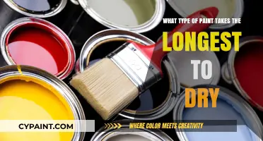 The Slowest-Drying Paint: A Comprehensive Guide