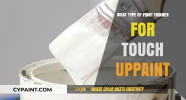 Choosing the Right Paint Thinner for Touch-Up Paint Projects